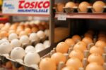 Costco Eggs Recalled FDA FDA Elevates Costco Egg Recall to Highest Alert Over Salmonella Concerns