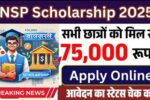 NSP Scholarship 2024-25 के लिए आवेदन कैसे करें: जानें पूरा प्रोसेस